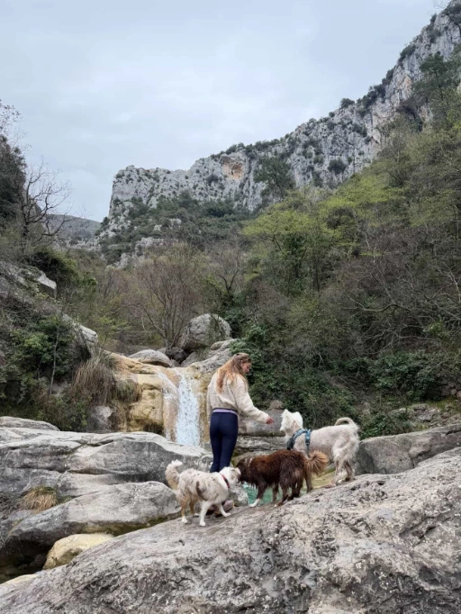 Moment de baignade et de jeux